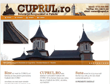 Tablet Screenshot of cuprul.ro